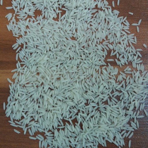 برنج صدری خوشپخت 10 کیلویی (تضمین کیفیت)